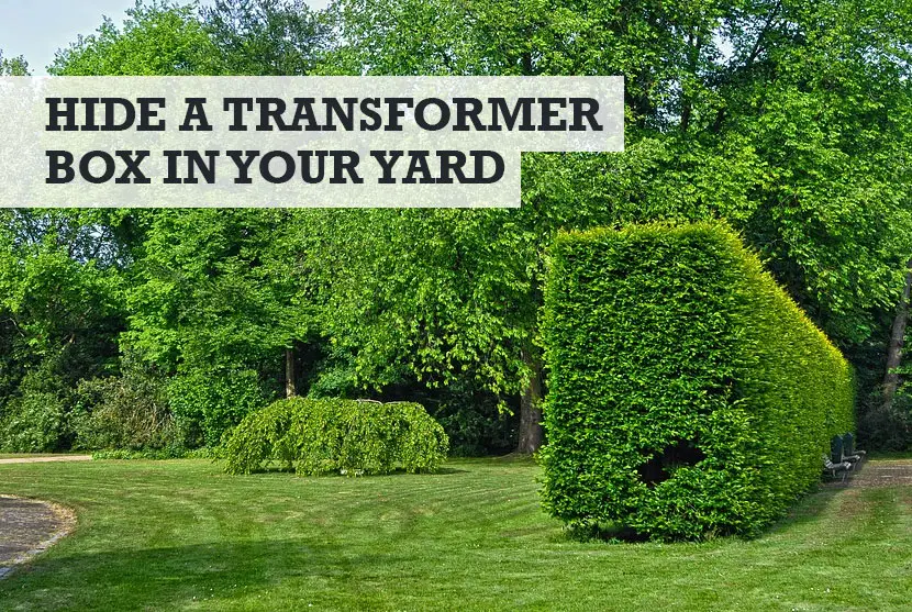 How to Hide a Transformer Box in Your Yard