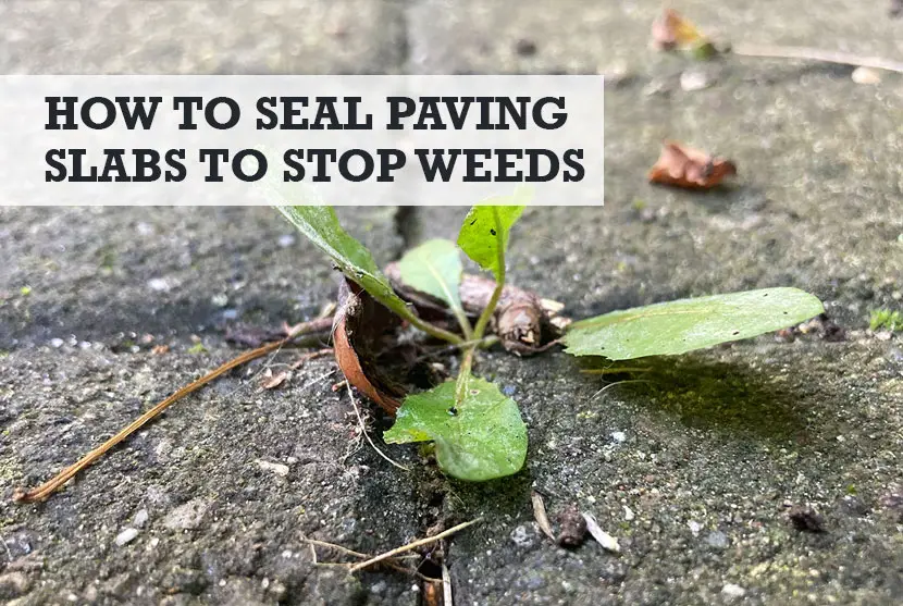 How to Seal Block Paving Slabs to Stop Weeds