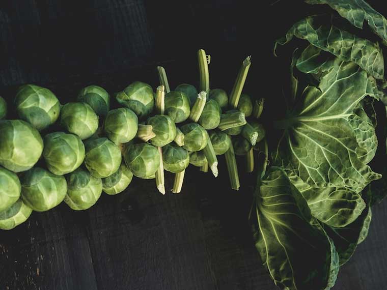 plant winter Brussel sprouts