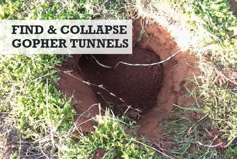 how to collapse gopher tunnels
