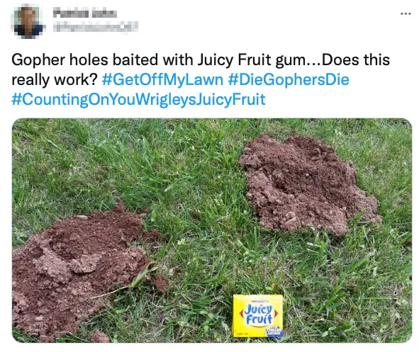 Can juicy fruit gum kill gophers