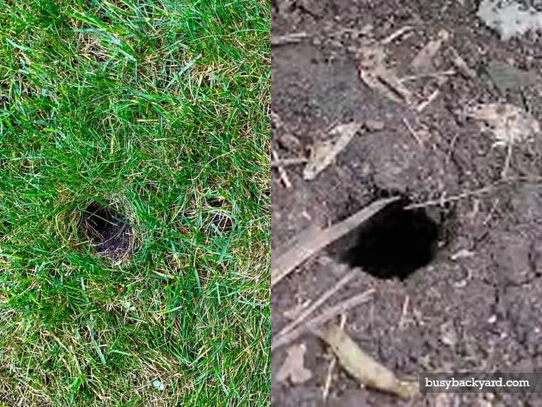 rat hole